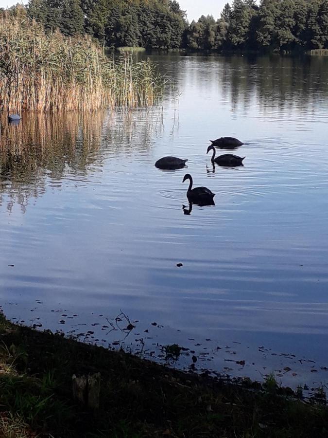Domek U Janiny Czaplinek Eksteriør billede