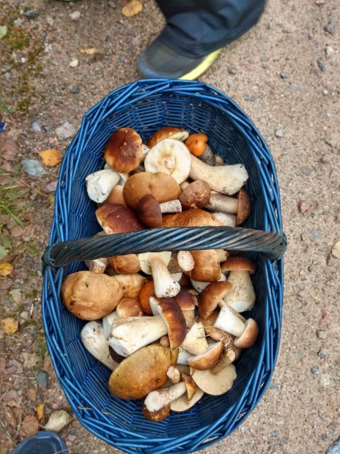 Domek U Janiny Czaplinek Eksteriør billede